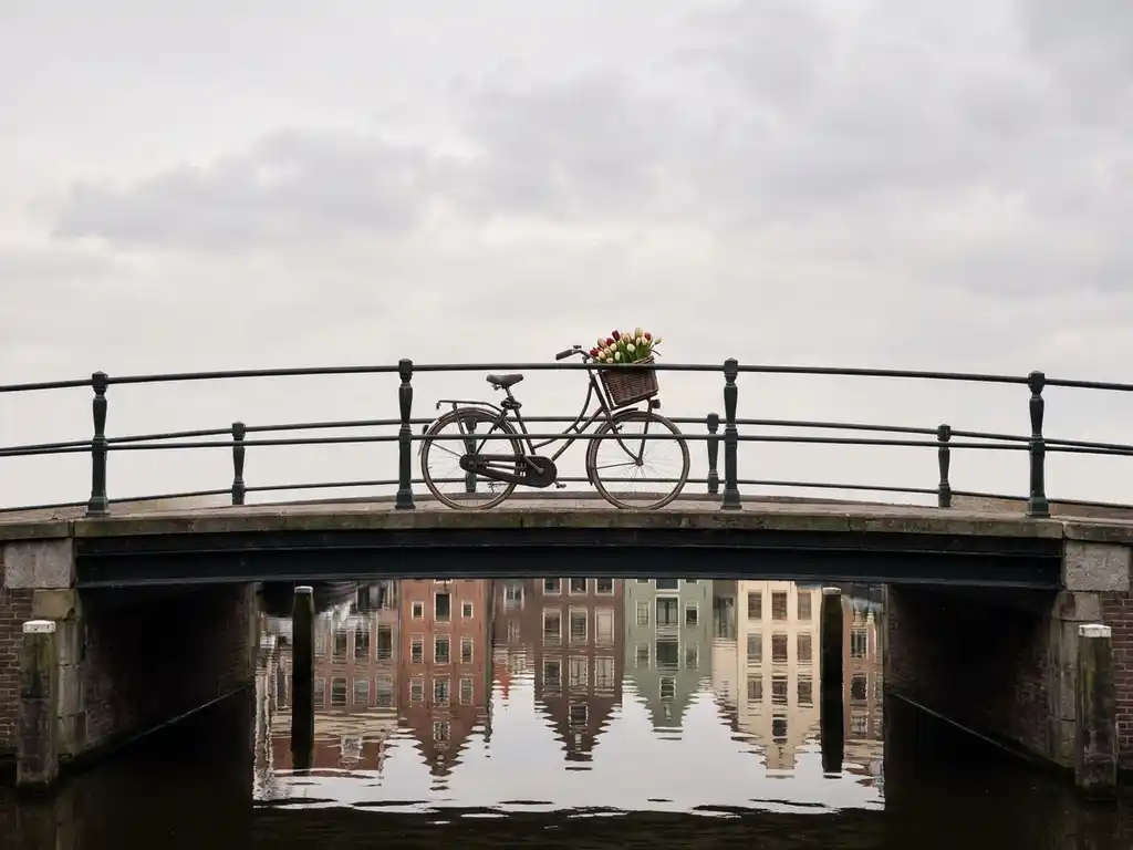 What is there to do in Amsterdam?