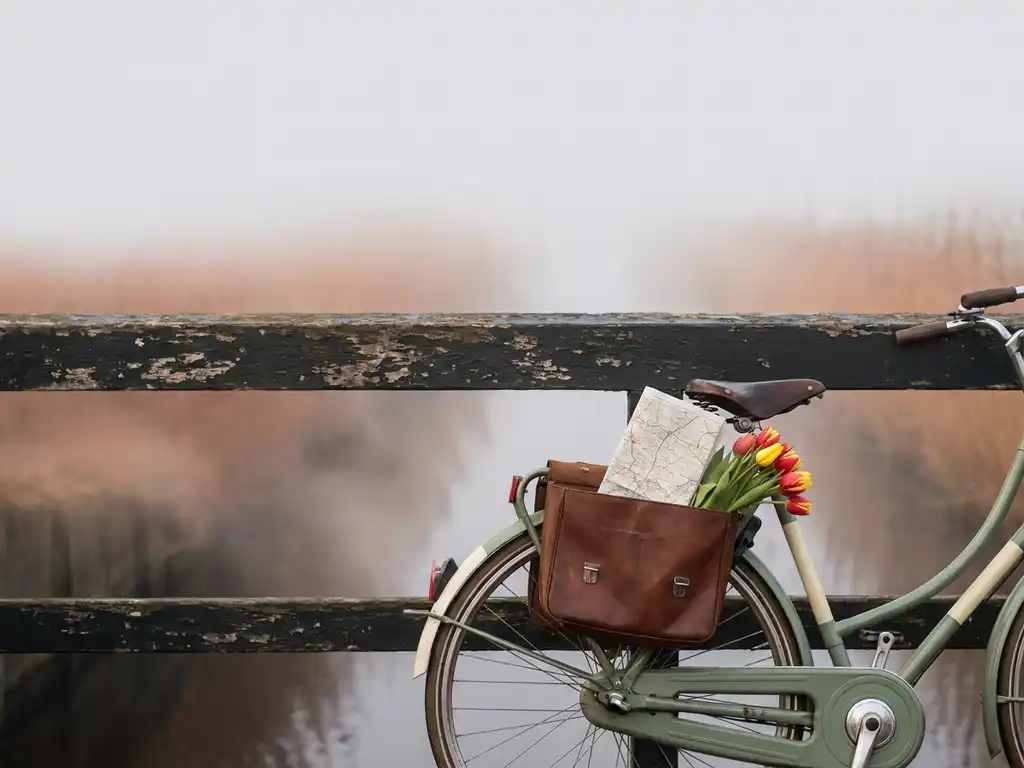 What’s a good day trip from Amsterdam?
